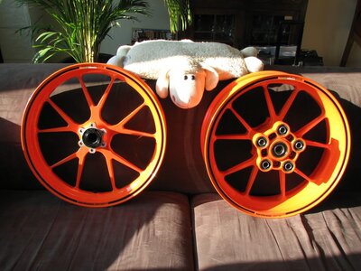 sm-r velgen.jpg