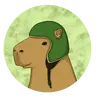 Capyrider