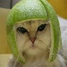 **muis**