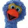 BlauwfÃƒÆ’Ã‚Â»gel
