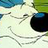 Joop H