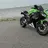 groene kikker