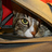 MotorMieke