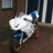 xsFighter