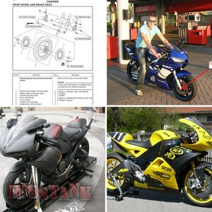 Motormuis's openbare documenten