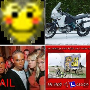Nocer's openbare documenten