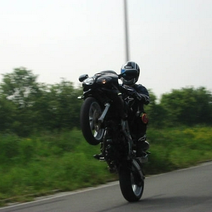 wheely3.jpg