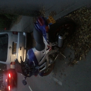 2011-11-07 17.09.10.jpg