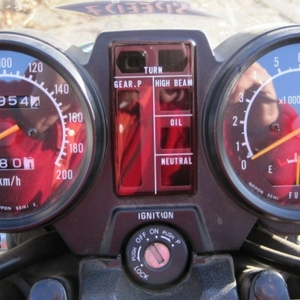 IMG_1610AA.jpg