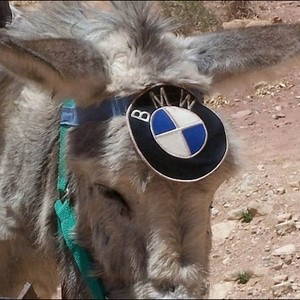 bmw-newmodel2.jpg