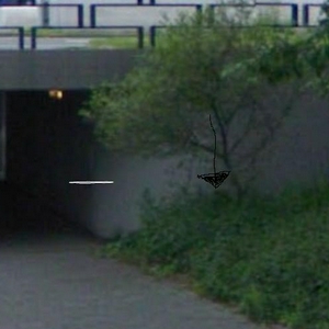hier dus 1.jpg