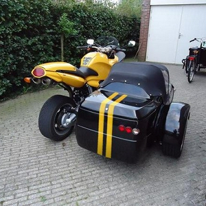 viper1.jpg