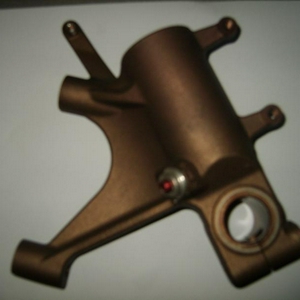 XL804193.JPG