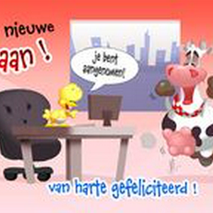 nieuwe-baan.jpg