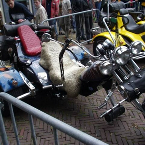 55.jpg