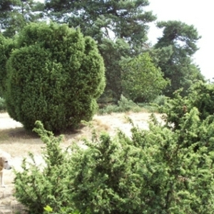 vakantie 2005.JPG