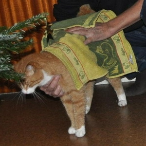 DSC_0217a.jpg