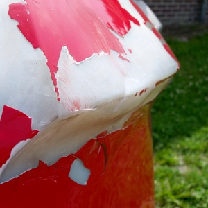 100_5479.jpg