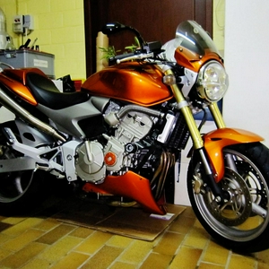 Hornet in de garage