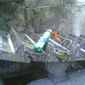 30012012.jpg