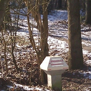 IMAG0371.2.jpg