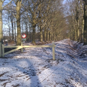 IMAG0374.jpg