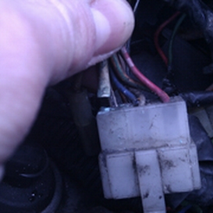 IMAG0318.jpg