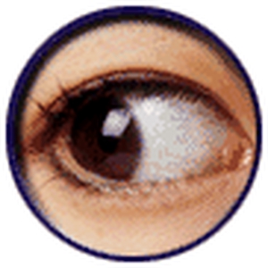 ogen2.gif