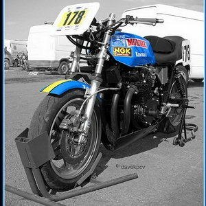 moriwaki color black white .jpg