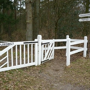 1.JPG