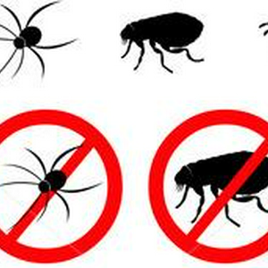stock-vector-insecticide-89817913.jpg