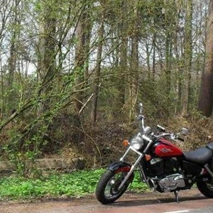 LM overijssel5a.JPG