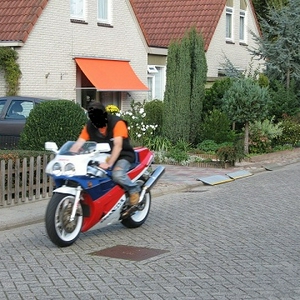 roel 3.jpg