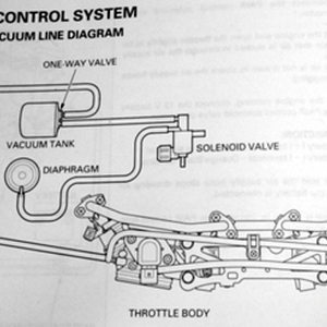 fv1.jpg