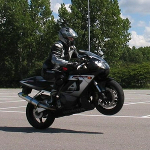 rogier4.jpg