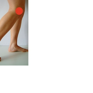 knie.jpg