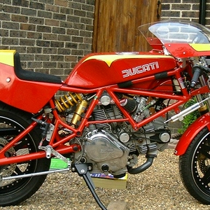 Duc SCF0011.jpg