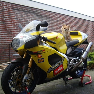 DSC01442 (Large).JPG