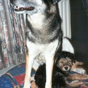 bowdy&taran.JPG