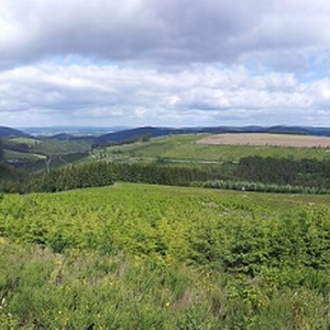 Sauerland.jpg