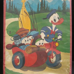 donald duk puzzel 00125.jpg