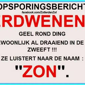 Zon.jpg