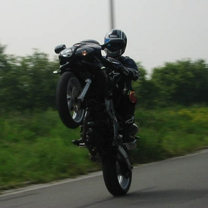 wheelymetsv.jpg