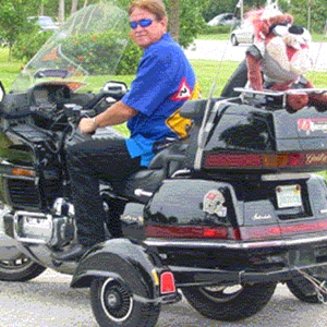 Americaan.gif