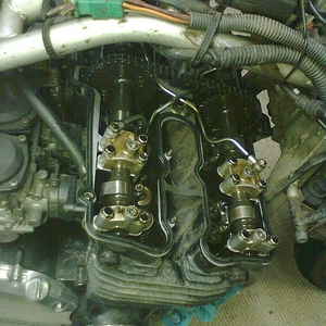Afb0185.jpg