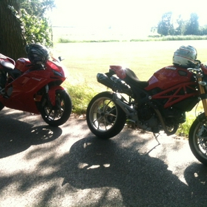 duc2.JPG