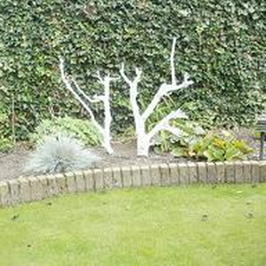 P9200001 A.jpg