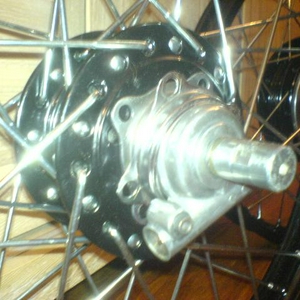 DSC01670.jpg