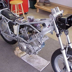 sulecki2.jpg