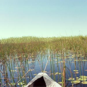 foto16.jpg